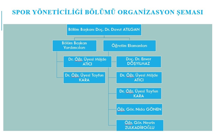 Spor Yöneticiliği Bölümü Organizasyon Şeması